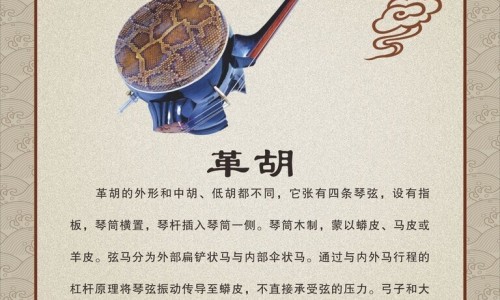 陈皮与白萝卜能一起煮吗-白萝卜陈皮山楂肉桂煮水喝有什么功效和作用专区_白萝卜陈皮山楂一起煮水喝有什么功效专区_陈皮桂皮山药白萝卜鸡汤功效网