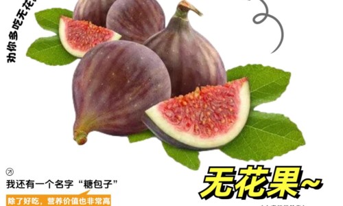 陈皮与白萝卜煮水功效-白萝卜陈皮山楂肉桂煮水喝有什么功效和作用专区_白萝卜陈皮山楂一起煮水喝有什么功效专区_陈皮桂皮山药白萝卜鸡汤功效网